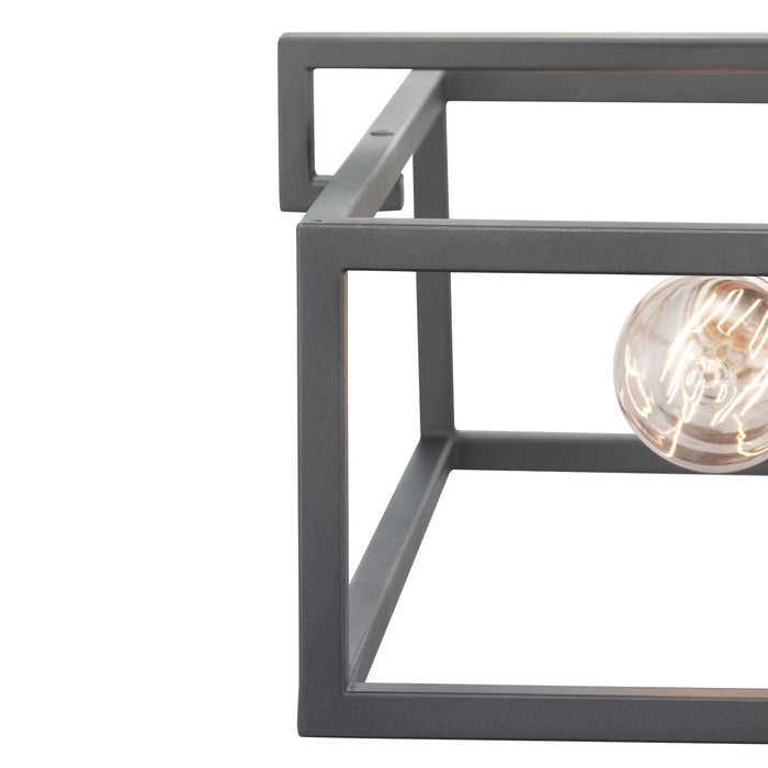 Progress Lighting Blakely Collection Two-Light Semi-Flush Convertible (P350120-143)