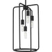Progress Lighting Bonn Collection Four-Light Black Pendant (P500224-031)