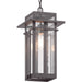 Progress Lighting Boxwood Collection One-Light Hanging Lantern (P550039-020)