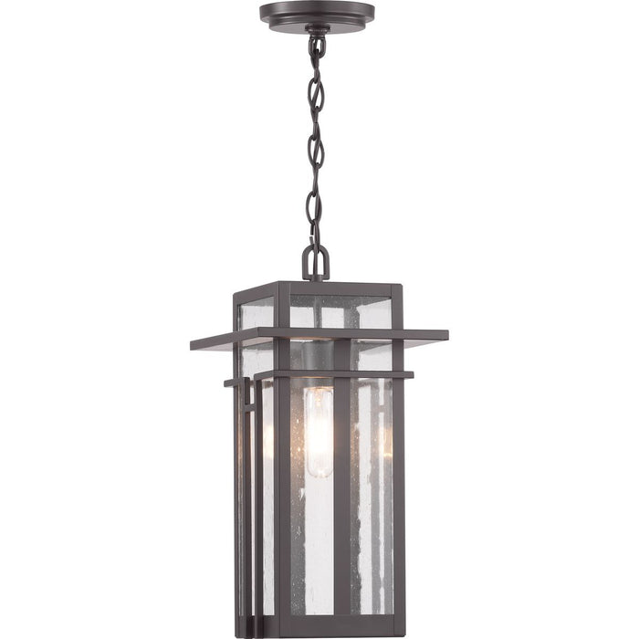 Progress Lighting Boxwood Collection One-Light Hanging Lantern (P550039-020)