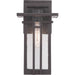 Progress Lighting Boxwood Collection One-Light Small Wall Lantern (P560110-020)