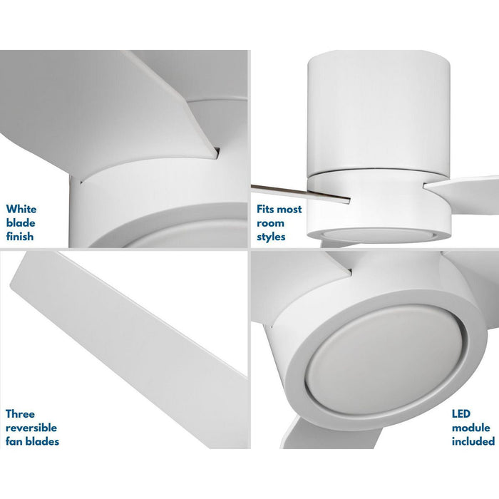 Progress Lighting Braden Collection 1 Light 18W 44 Inch Ceiling Fan (P250058-028-30)