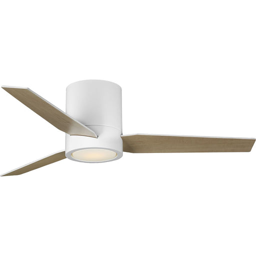 Progress Lighting Braden Collection 1 Light 18W 44 Inch Ceiling Fan (P250058-028-30)