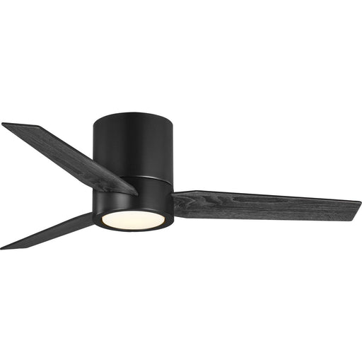 Progress Lighting Braden Collection 1 Light 18W 44 Inch Ceiling Fan (P250058-031-30)