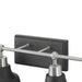 Progress Lighting Bramlett Collection Four-Light Bath And Vanity (P300203-009)
