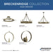 Progress Lighting Breckenridge Collection 60W Eight-Light Chandelier Aged Bronze (P400319-196)