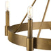 Progress Lighting Breckenridge Collection 60W Eight-Light Chandelier Aged Bronze (P400319-196)