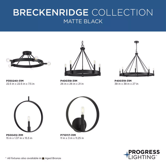 Progress Lighting Breckenridge Collection 60W Eight-Light Chandelier Matte Black (P400319-31M)