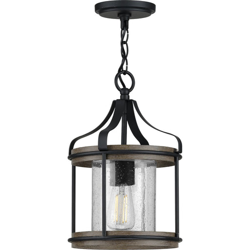 Progress Lighting Brenham Collection Black One-Light Outdoor Pendant (P500234-031)