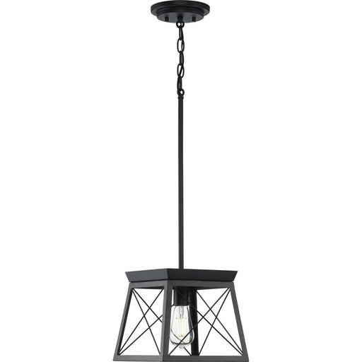 Progress Lighting Briarwood Collection 1 Light 100W Medium Base Mini-Pendant Fixture (P500041-031)