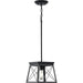 Progress Lighting Briarwood Collection 1 Light 100W Medium Base Mini-Pendant Fixture (P500041-031)