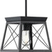 Progress Lighting Briarwood Collection 1 Light 100W Medium Base Mini-Pendant Fixture (P500041-031)