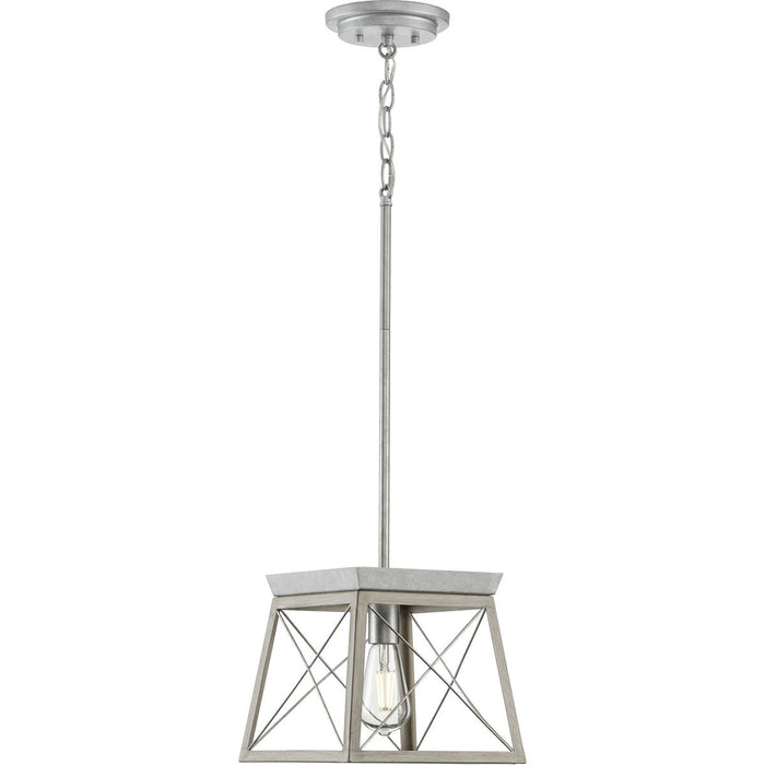 Progress Lighting Briarwood Collection 1 Light 100W Medium Base Mini-Pendant Fixture (P500041-141)