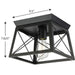 Progress Lighting Briarwood Collection 1 Light 60W Medium Base Flush Mount Close To Ceiling Fixture (P350022-031)