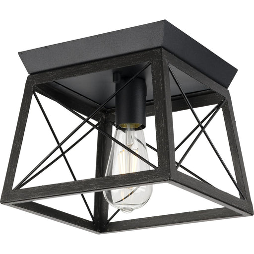 Progress Lighting Briarwood Collection 1 Light 60W Medium Base Flush Mount Close To Ceiling Fixture (P350022-031)