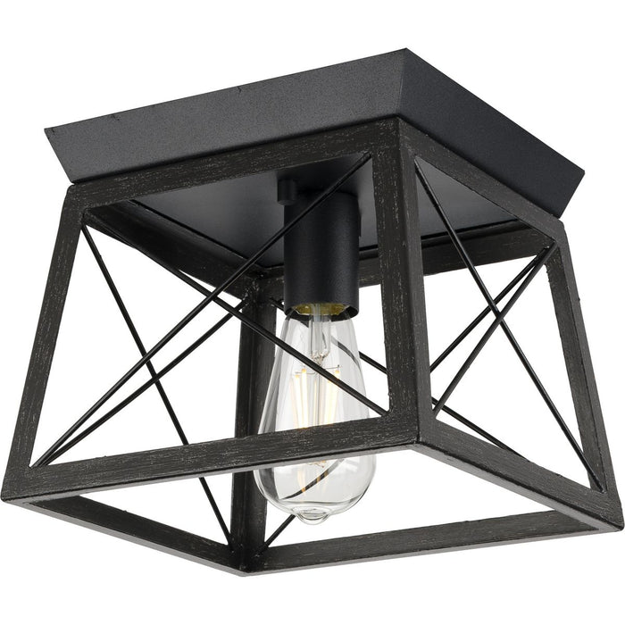 Progress Lighting Briarwood Collection 1 Light 60W Medium Base Flush Mount Close To Ceiling Fixture (P350022-031)