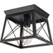 Progress Lighting Briarwood Collection 1 Light 60W Medium Base Flush Mount Close To Ceiling Fixture (P350022-031)