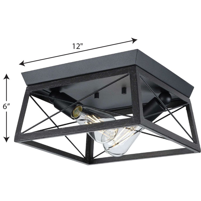 Progress Lighting Briarwood Collection 2 Light 60W Medium Base Flush Mount Close To Ceiling Fixture (P350039-031)