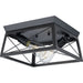 Progress Lighting Briarwood Collection 2 Light 60W Medium Base Flush Mount Close To Ceiling Fixture (P350039-031)