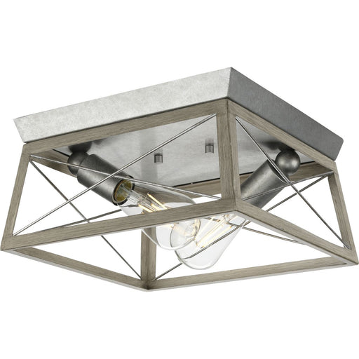 Progress Lighting Briarwood Collection 2 Light 60W Medium Base Flush Mount Close To Ceiling Fixture (P350039-141)