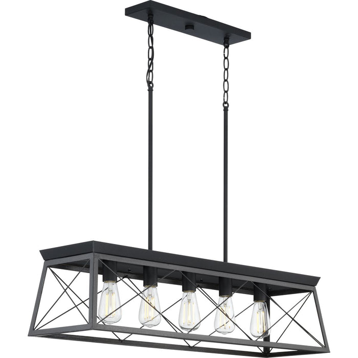 Progress Lighting Briarwood Collection 5 Light 100W Medium Base Island Fixture (P400048-031)