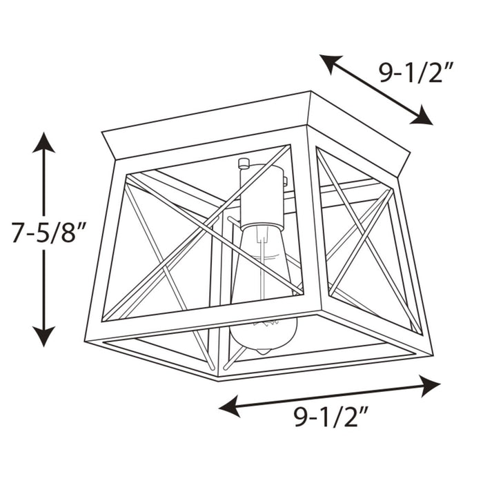 Progress Lighting Briarwood Collection One-Light 9-1/2 Inch Flush Mount (P350022-020)