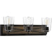 Progress Lighting Briarwood Collection Three-Light Bath And Vanity (P300231-020)
