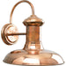 Progress Lighting Brookside Collection One-Light Large Wall Lantern (P5723-14)