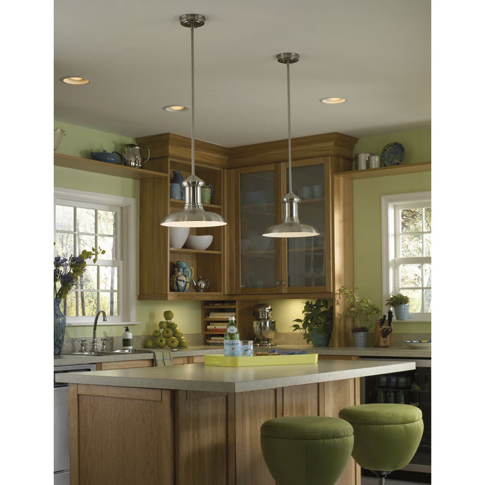 Progress Lighting Brookside Collection One-Light Pendant (P5024-09)