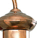 Progress Lighting Brookside Collection One-Light Small Wall Lantern (P5721-14)