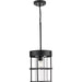 Progress Lighting Burgess Collection 60W One-Light Mini Pendant Matte Black (P500401-31M)