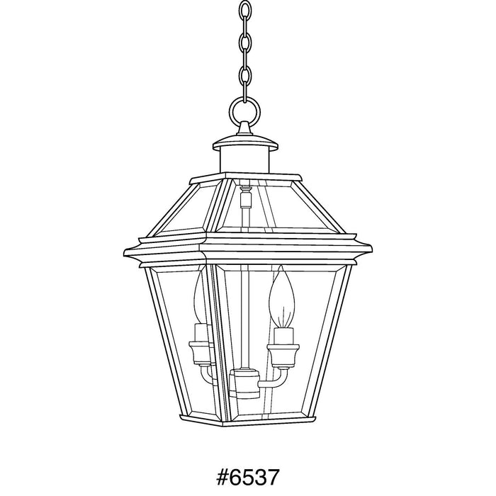 Progress Lighting Burlington Collection Two-Light Hanging Lantern (P6537-20)