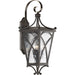 Progress Lighting Cadence Collection Three-Light Large Wall Lantern (P6639-108)