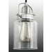 Progress Lighting Calhoun Collection One-Light Mini-Pendant (P500055-009)