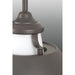 Progress Lighting Carbon Collection One-Light Pendant (P500013-143)