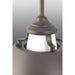 Progress Lighting Carbon Collection One-Light Pendant (P500013-143)