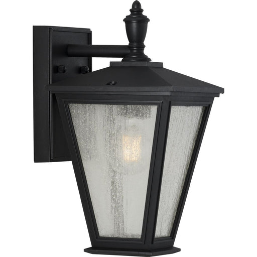 Progress Lighting Cardiff Collection One-Light Small Wall Lantern With Durashield (P560166-031)