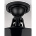 Progress Lighting Cedar Springs Collection Black One-Light Semi-Flush Mount (P550070-031)