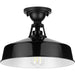 Progress Lighting Cedar Springs Collection Black One-Light Semi-Flush Mount (P550070-031)