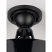 Progress Lighting Cedar Springs Collection Black One-Light Semi-Flush Mount (P550070-031)