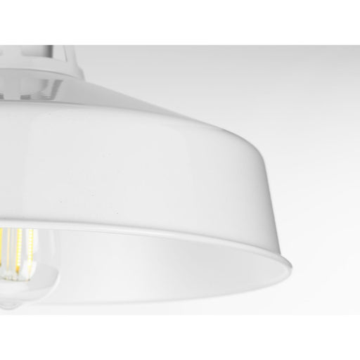 Progress Lighting Cedar Springs Collection White One-Light Semi-Flush Mount (P550070-030)