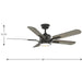 Progress Lighting Claret Collection 54 Inch 5-Blade Ceiling Fan With Light (P250007-108-30)