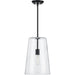 Progress Lighting Clarion Collection Black One-Light Medium Pendant (P500242-031)