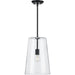 Progress Lighting Clarion Collection Black One-Light Medium Pendant (P500242-031)