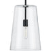 Progress Lighting Clarion Collection Black One-Light Medium Pendant (P500242-031)