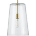Progress Lighting Clarion Collection Satin Brass One-Light Medium Pendant (P500242-012)