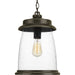 Progress Lighting Conover Collection Hanging Lantern (P550030-020)