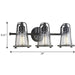 Progress Lighting Conway Collection 3 Light 100W Medium Base Bath And Vanity Fixture (P300297-031)