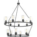 Progress Lighting Debut Collection Fifteen-Light Chandelier (P400017-143)