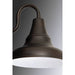 Progress Lighting District Collection LED Medium Wall Lantern 3000K (P5622-2030K9)